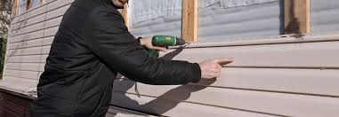 Best Custom Trim and Detailing for Siding  in Kalaheo, HI